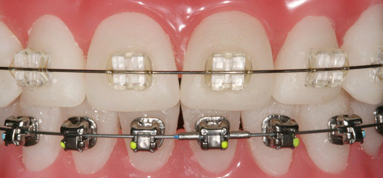 Dental Services