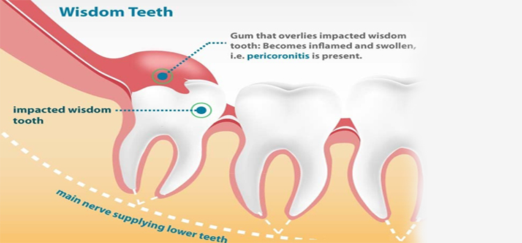 Dental Services